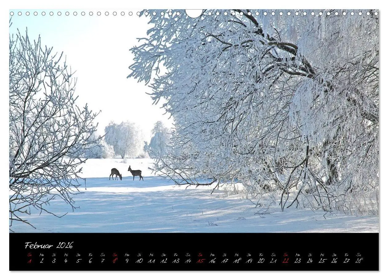Bild: 9783516175936 | RHÖN = SCHÖN (Wandkalender 2026 DIN A3 quer), CALVENDO Monatskalender