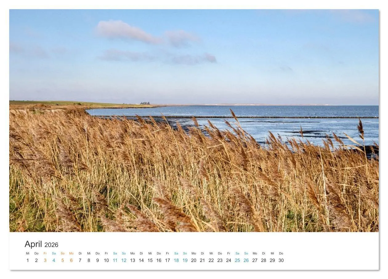 Bild: 9783516625936 | Amrum: Natur und Freiheit (Wandkalender 2026 DIN A2 quer), CALVENDO...