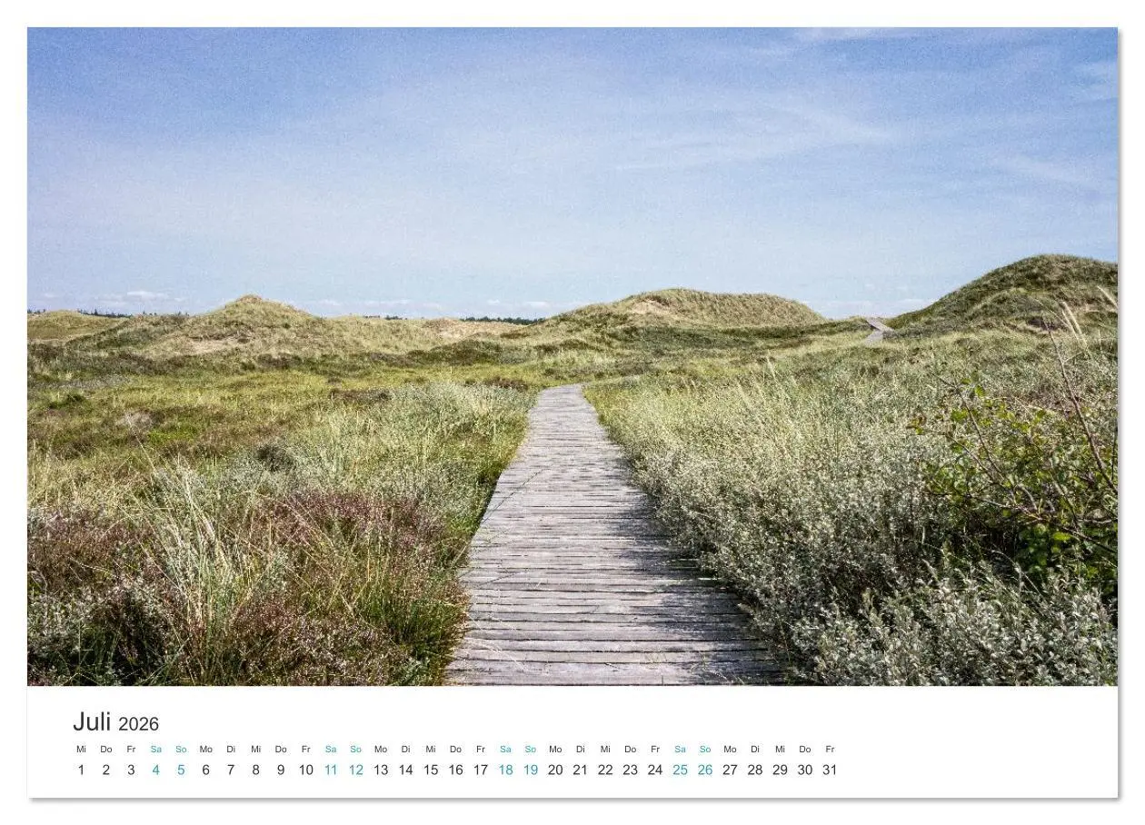 Bild: 9783516625936 | Amrum: Natur und Freiheit (Wandkalender 2026 DIN A2 quer), CALVENDO...