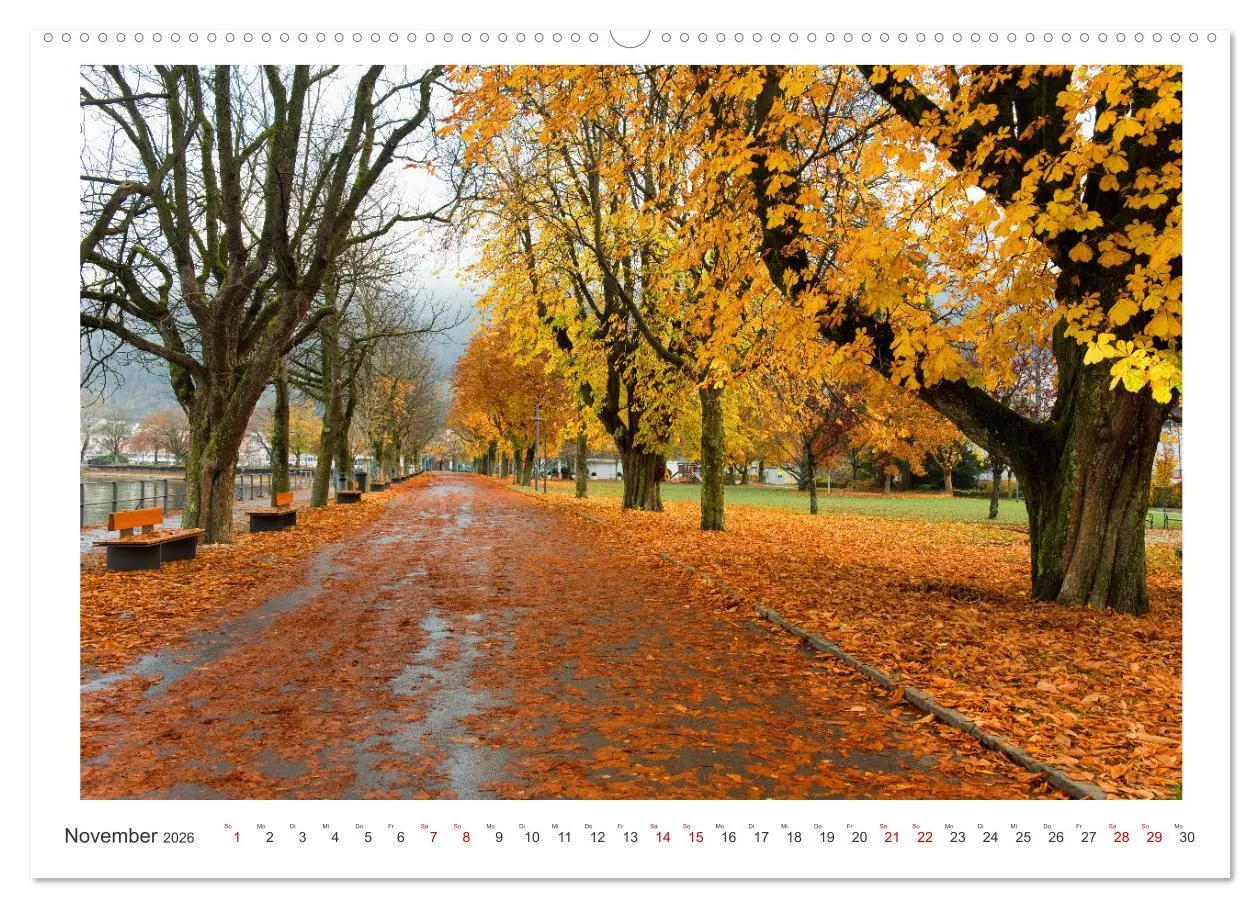 Bild: 9783457356036 | Bregenz am Bodensee (Wandkalender 2026 DIN A2 quer), CALVENDO...