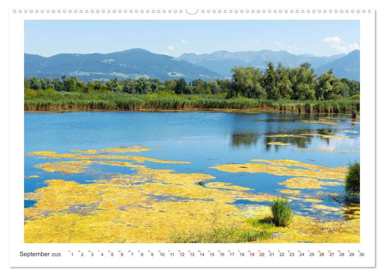 Bild: 9783457356036 | Bregenz am Bodensee (Wandkalender 2026 DIN A2 quer), CALVENDO...