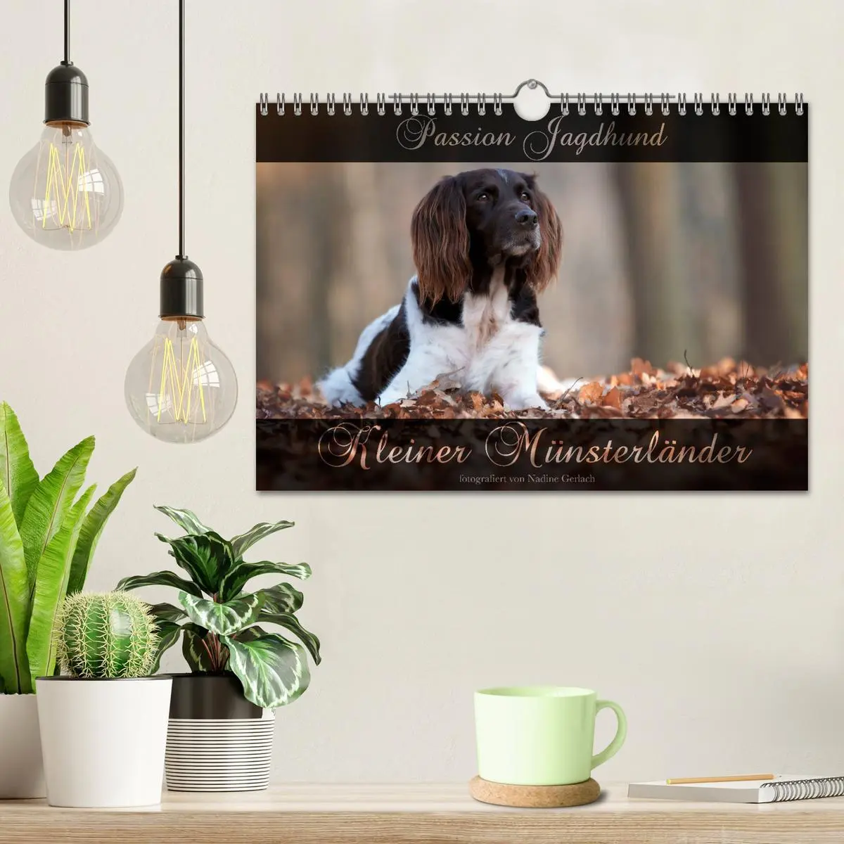 Bild: 9783457806036 | Passion Jagdhund - Kleiner Münsterländer (Wandkalender 2026 DIN A4...