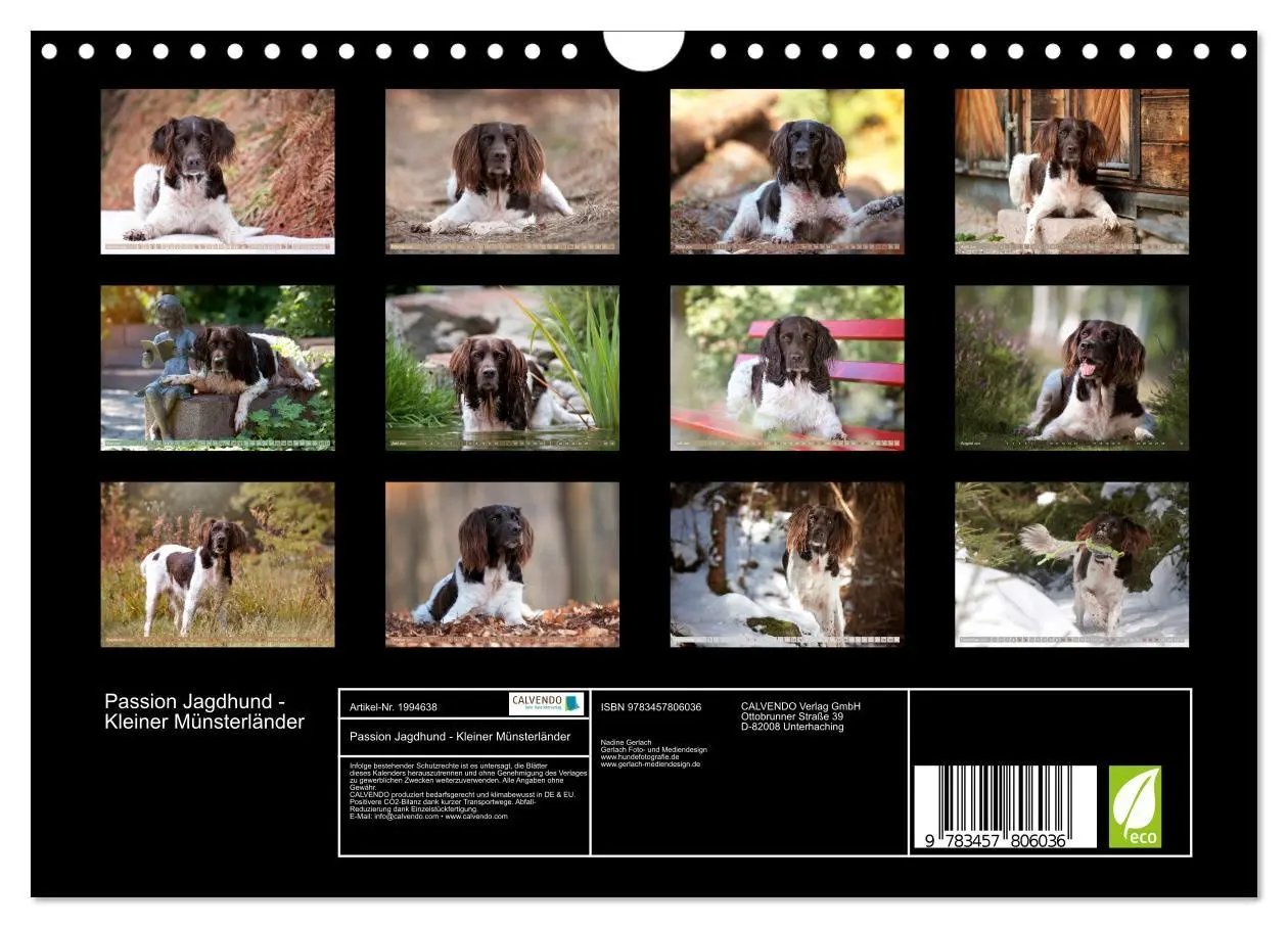 Bild: 9783457806036 | Passion Jagdhund - Kleiner Münsterländer (Wandkalender 2026 DIN A4...