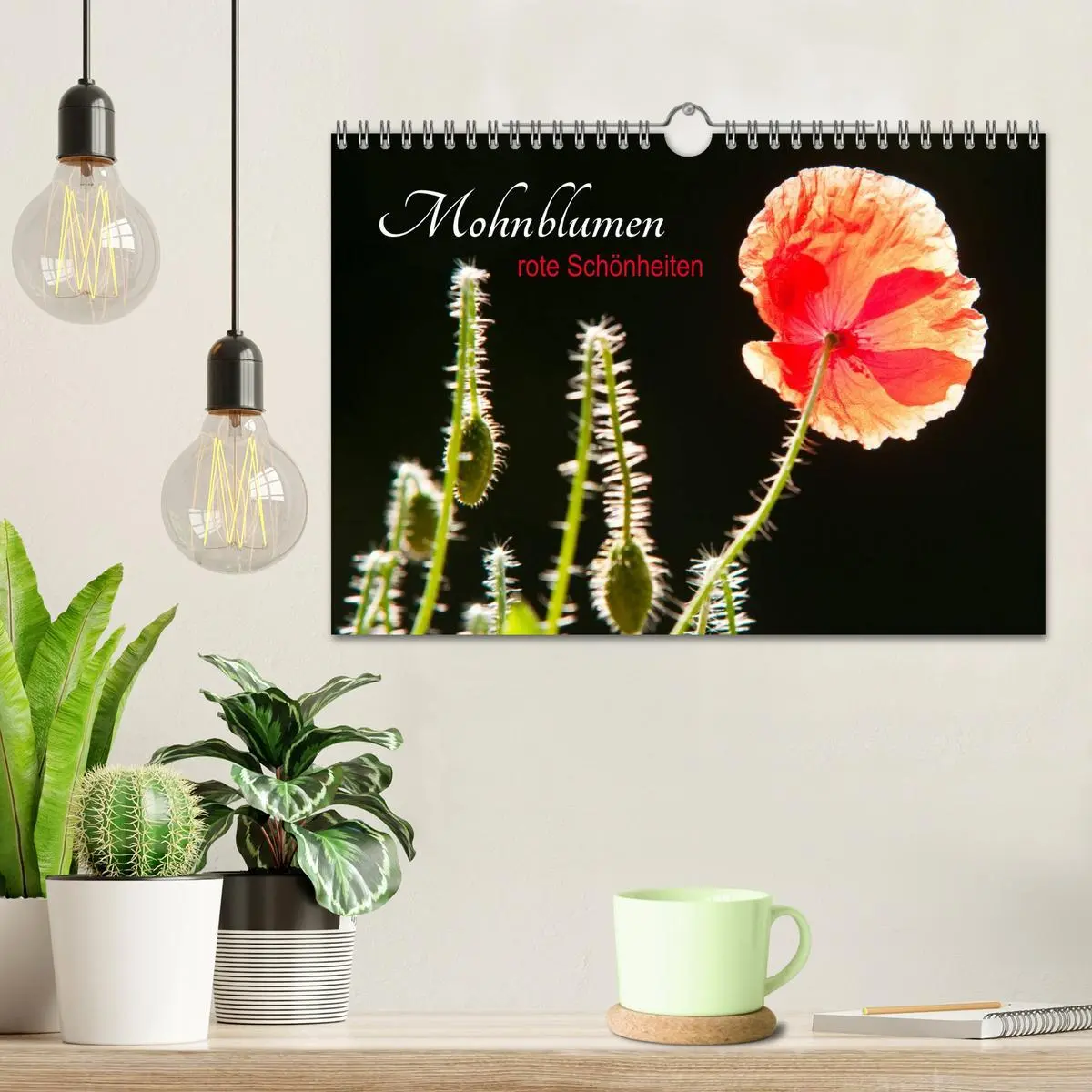 Bild: 9783457976036 | Mohnblumen - rote Schönheiten (Wandkalender 2026 DIN A4 quer),...