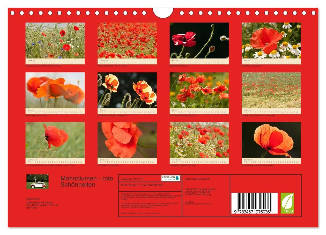 Bild: 9783457976036 | Mohnblumen - rote Schönheiten (Wandkalender 2026 DIN A4 quer),...