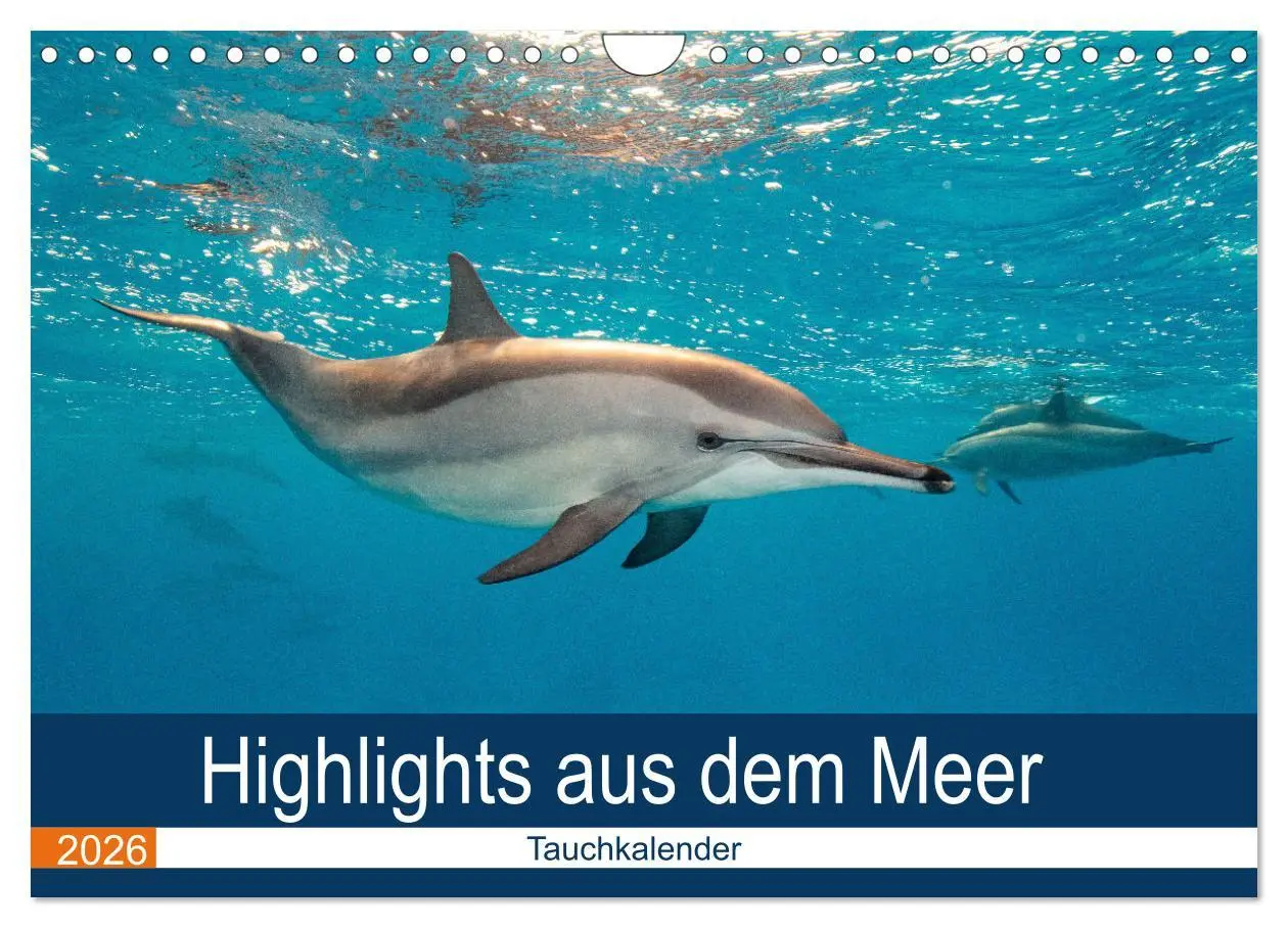 Cover: 9783516066036 | Highlights aus dem Meer - Tauchkalender (Wandkalender 2026 DIN A4...