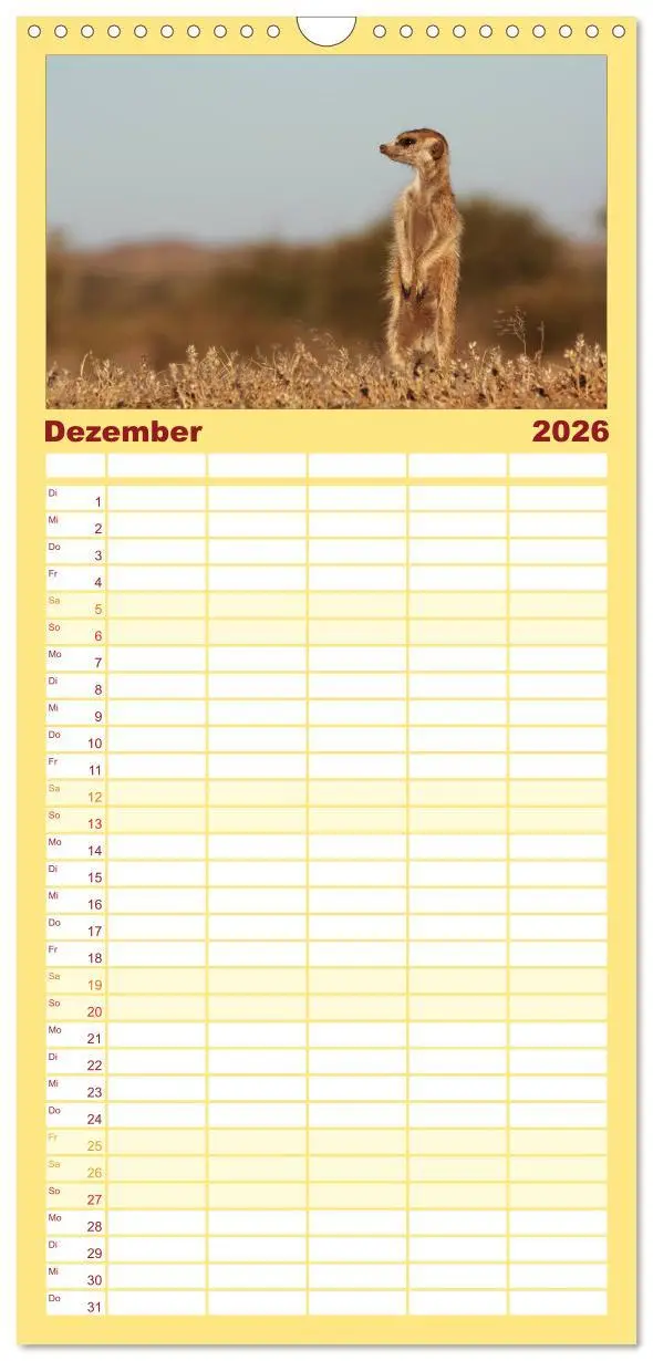 Bild: 9783516516036 | Familienplaner 2026 - Wildes Namibia mit 5 Spalten (Wandkalender,...