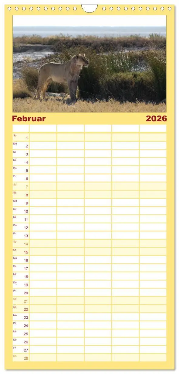 Bild: 9783516516036 | Familienplaner 2026 - Wildes Namibia mit 5 Spalten (Wandkalender,...