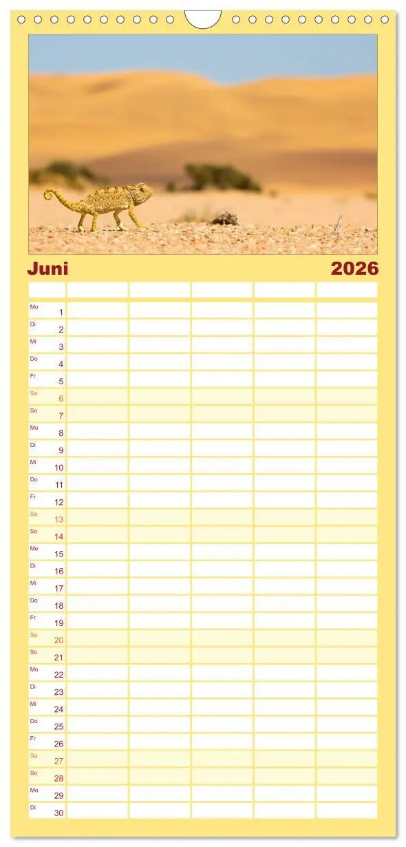 Bild: 9783516516036 | Familienplaner 2026 - Wildes Namibia mit 5 Spalten (Wandkalender,...