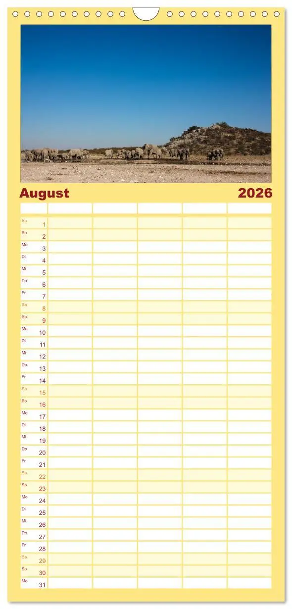 Bild: 9783516516036 | Familienplaner 2026 - Wildes Namibia mit 5 Spalten (Wandkalender,...