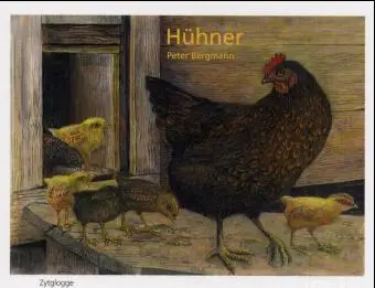 Cover: 9783729606036 | Hühner | Bilderbuch | Peter Bergmann | Buch | Gebunden | Deutsch