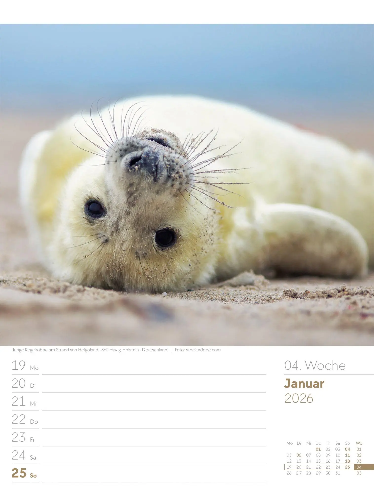 Bild: 9783838436036 | Am Meer - Wochenplaner Kalender 2026 | Ackermann Kunstverlag GmbH