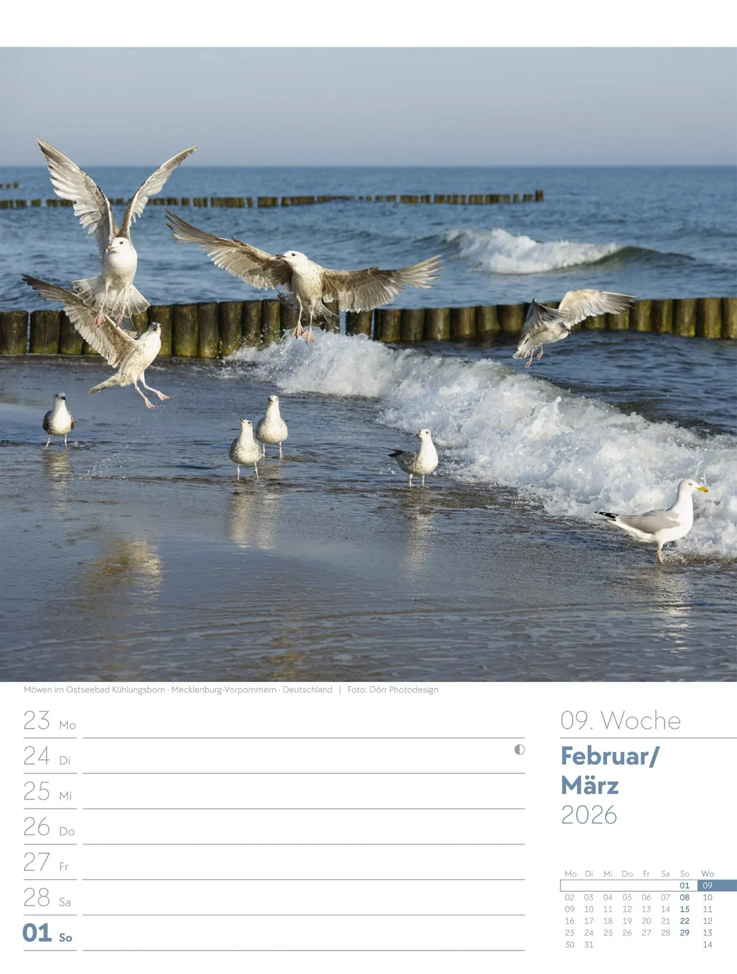 Bild: 9783838436036 | Am Meer - Wochenplaner Kalender 2026 | Ackermann Kunstverlag GmbH