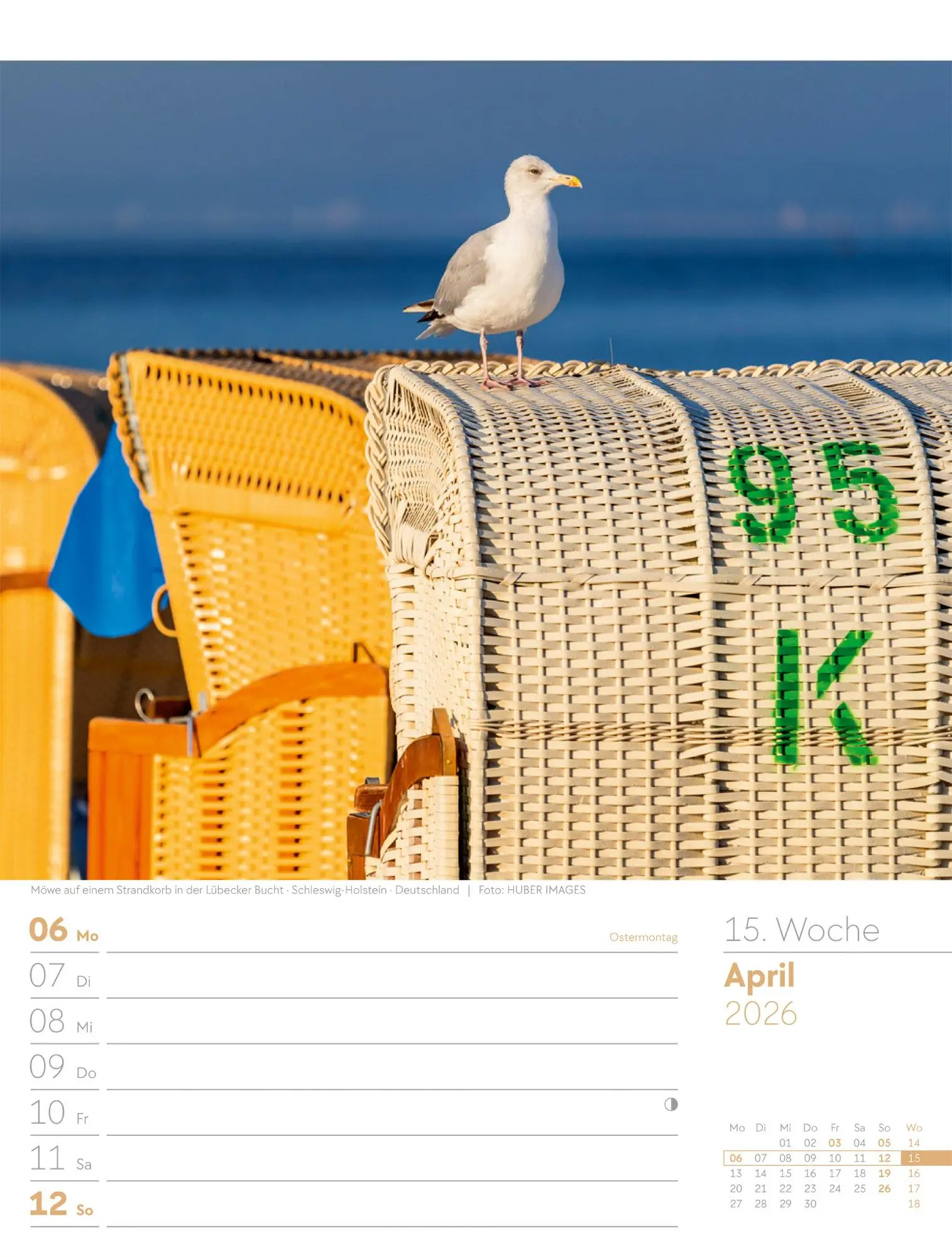 Bild: 9783838436036 | Am Meer - Wochenplaner Kalender 2026 | Ackermann Kunstverlag GmbH