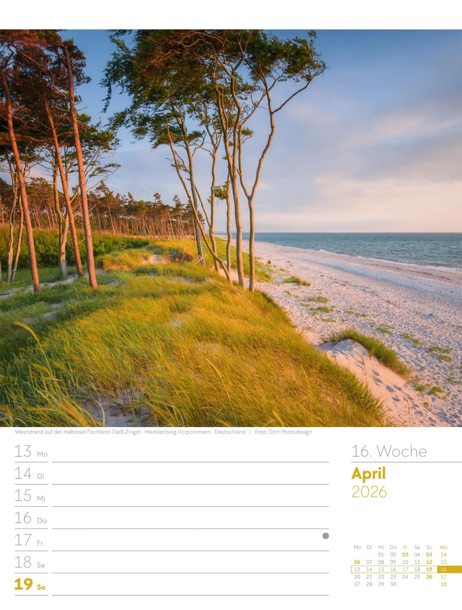 Bild: 9783838436036 | Am Meer - Wochenplaner Kalender 2026 | Ackermann Kunstverlag GmbH