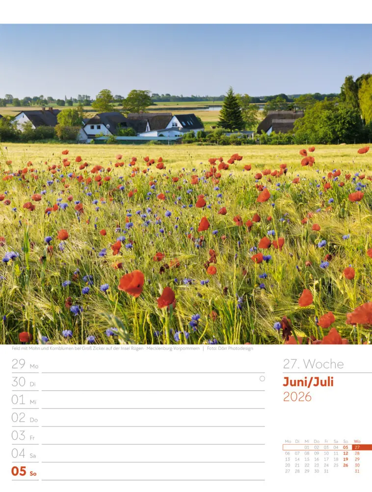 Bild: 9783838436036 | Am Meer Wochenplaner Kalender 2026 | Ackermann Kunstverlag GmbH | 2026