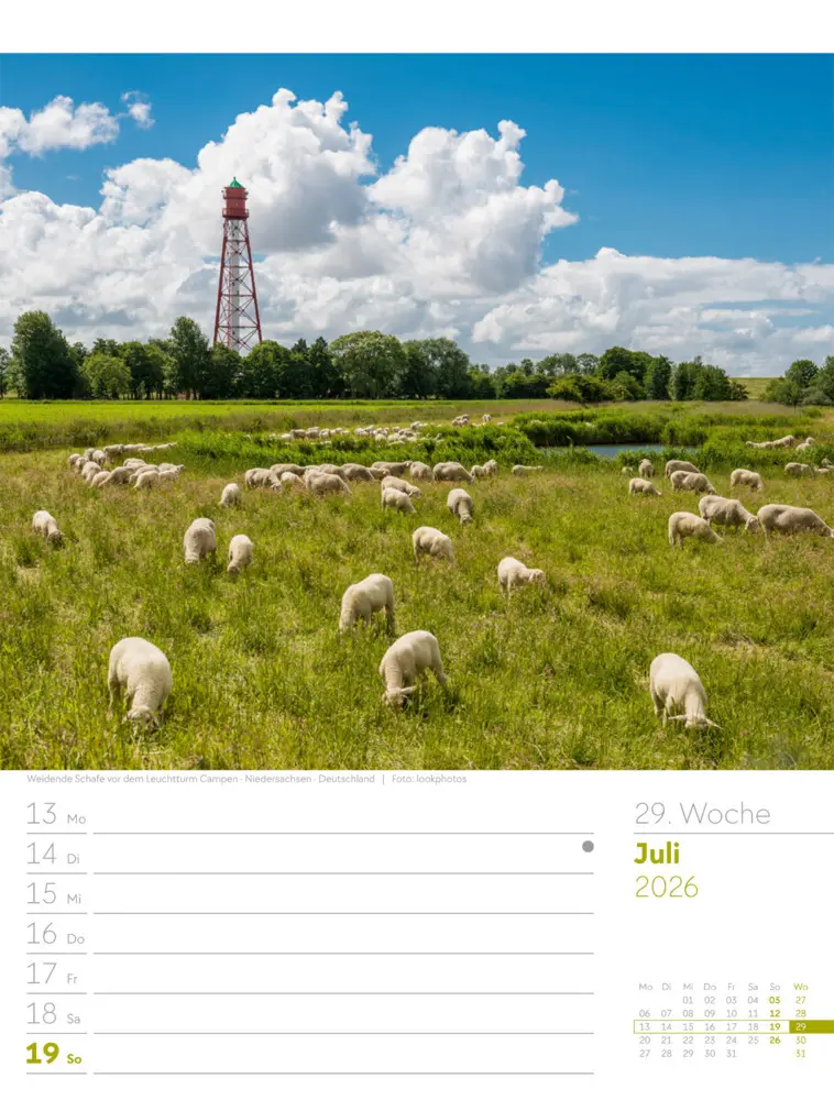 Bild: 9783838436036 | Am Meer Wochenplaner Kalender 2026 | Ackermann Kunstverlag GmbH | 2026