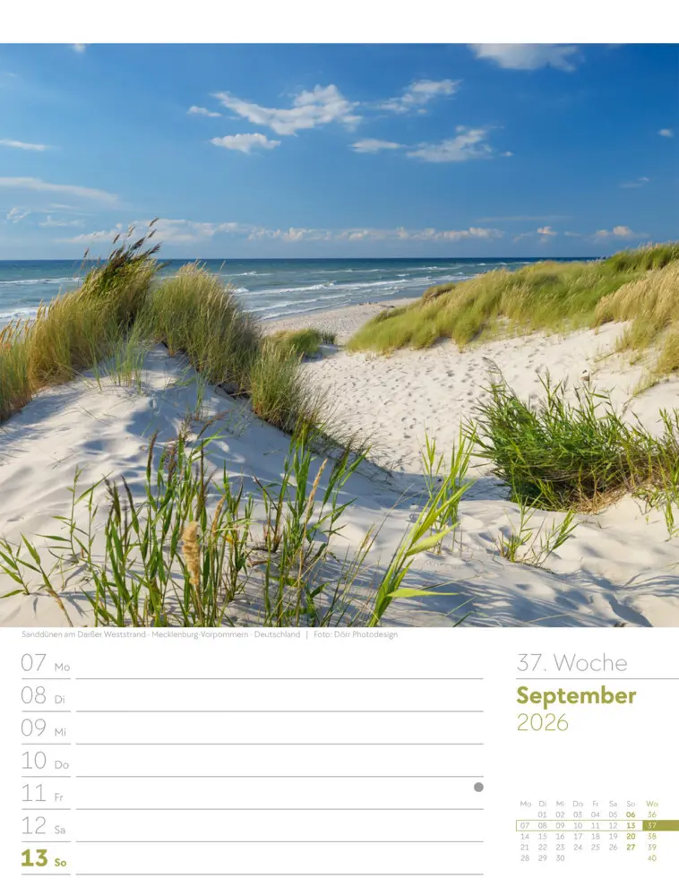 Bild: 9783838436036 | Am Meer Wochenplaner Kalender 2026 | Ackermann Kunstverlag GmbH | 2026