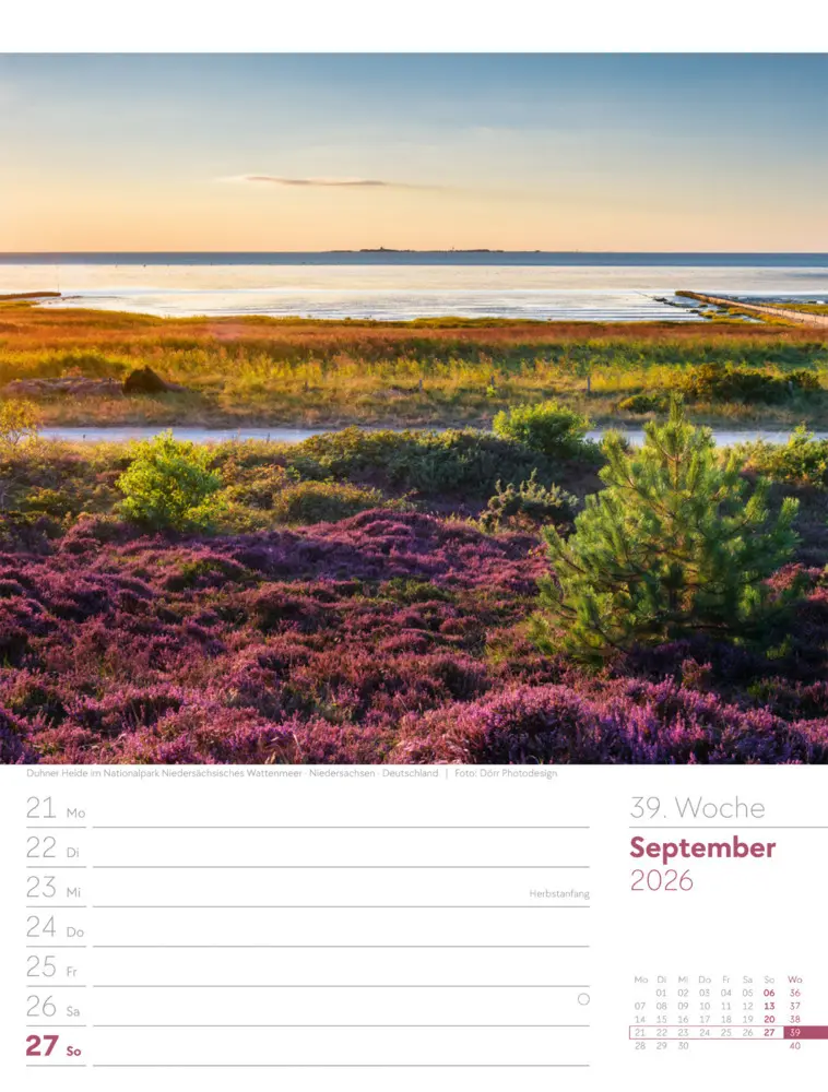 Bild: 9783838436036 | Am Meer Wochenplaner Kalender 2026 | Ackermann Kunstverlag GmbH | 2026
