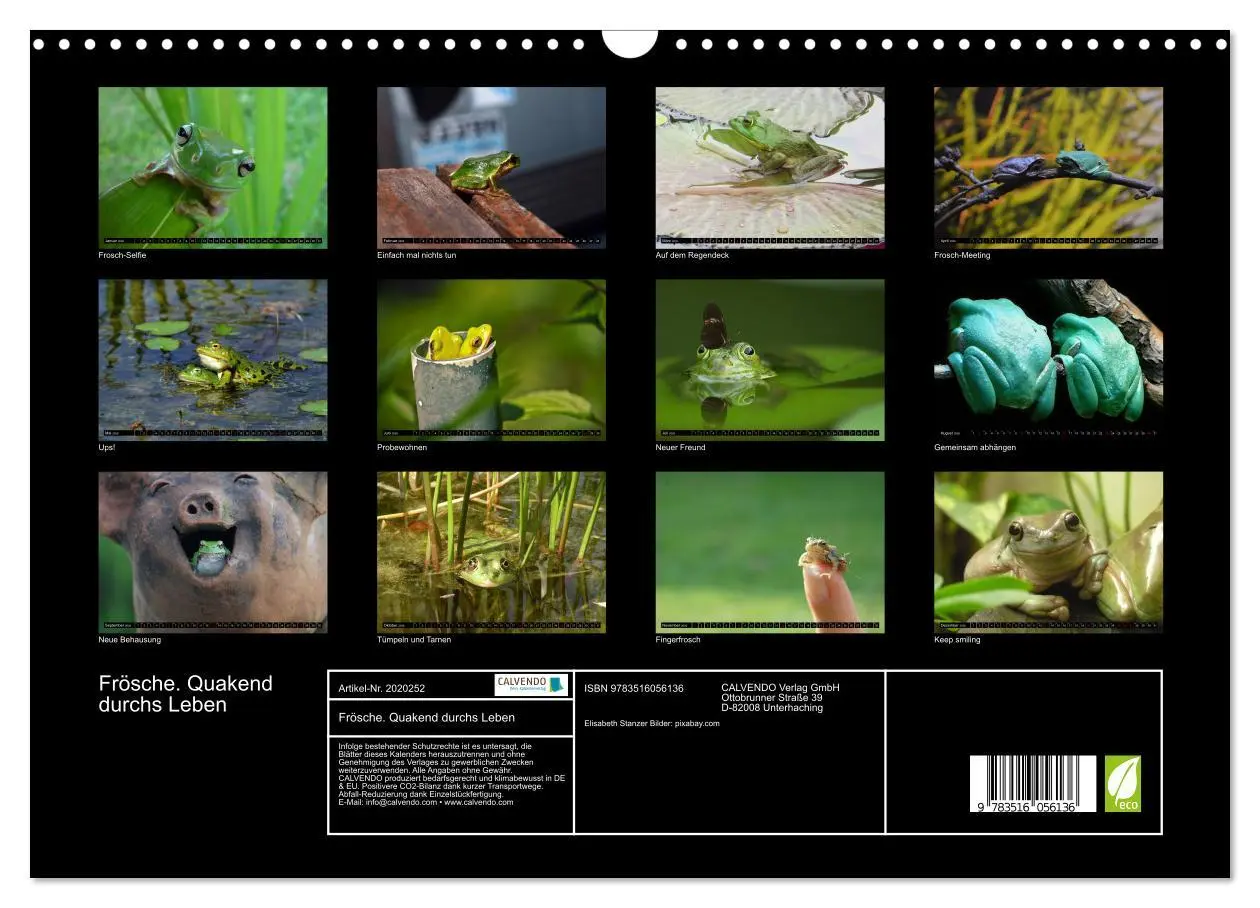 Bild: 9783516056136 | Frösche. Quakend durchs Leben (Wandkalender 2026 DIN A3 quer),...