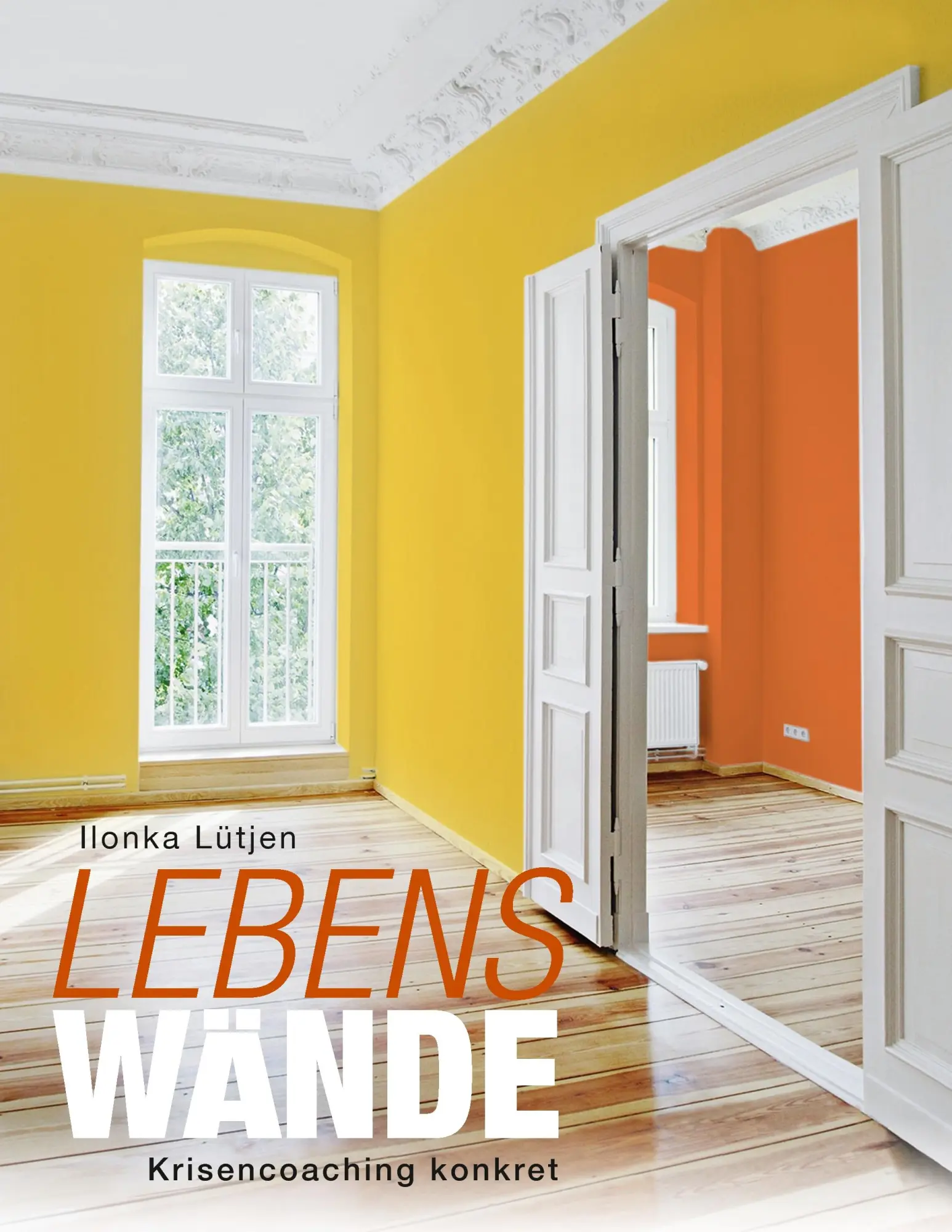 Cover: 9783743146136 | LebensWände | Krisencoaching konkret | Ilonka Lütjen | Taschenbuch
