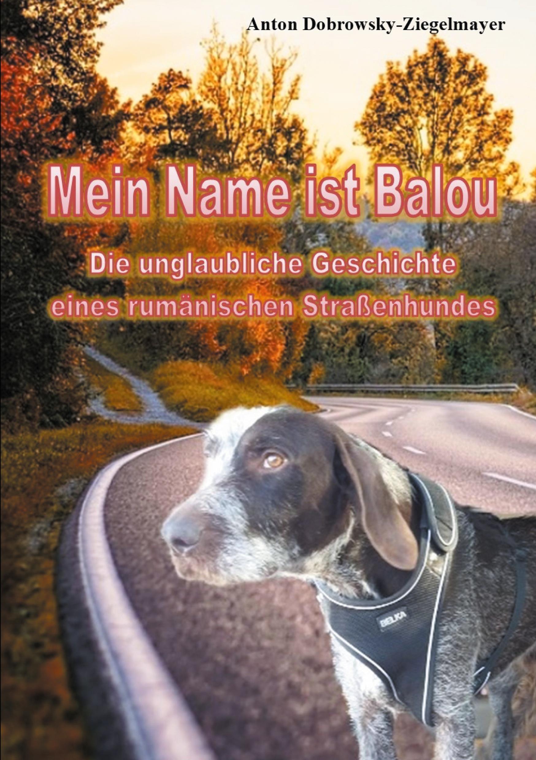 Cover: 9783754346136 | Mein Name ist Balou | Anton Dobrowsky-Ziegelmayer | Taschenbuch | 2021