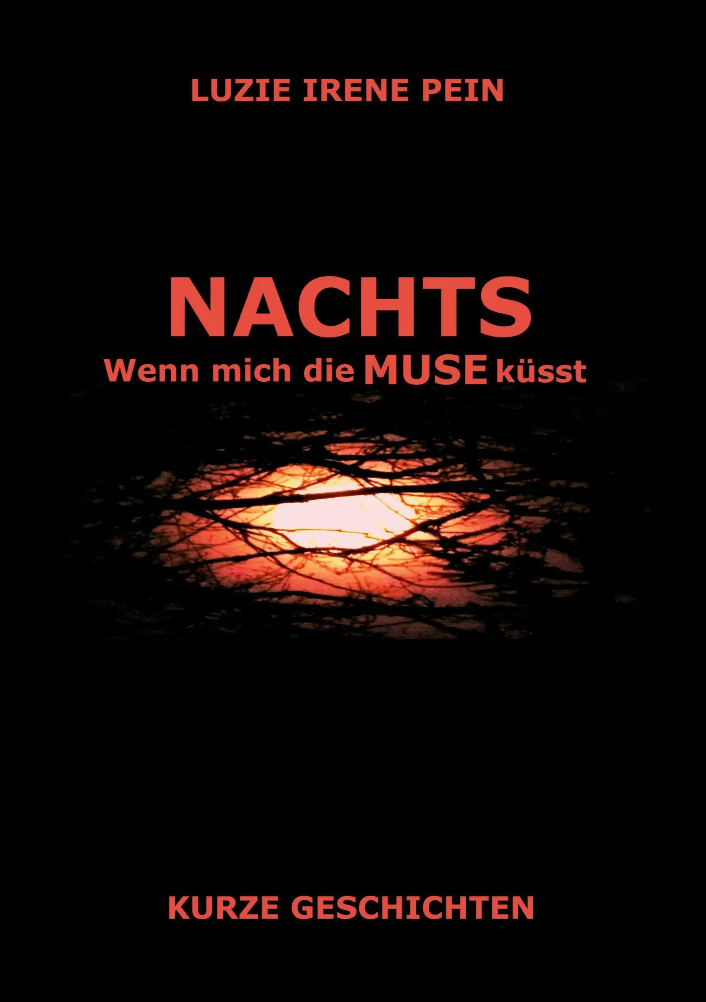 Cover: 9783759776136 | NACHTS | Wenn mich die MUSE küsst | Luzie Irene Pein | Taschenbuch