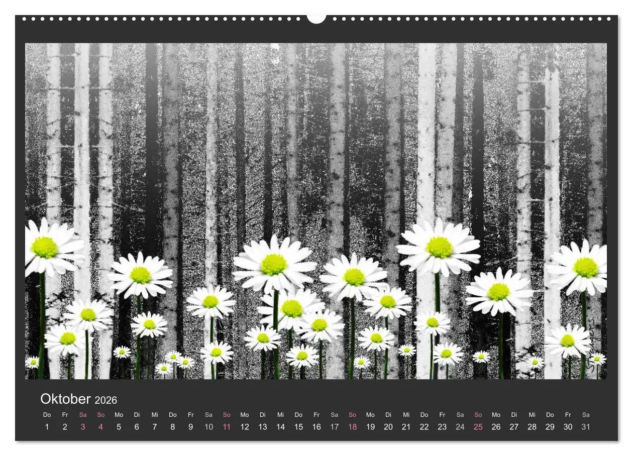 Bild: 9783516116236 | Schwarzwald. Anders. (Wandkalender 2026 DIN A2 quer), CALVENDO...