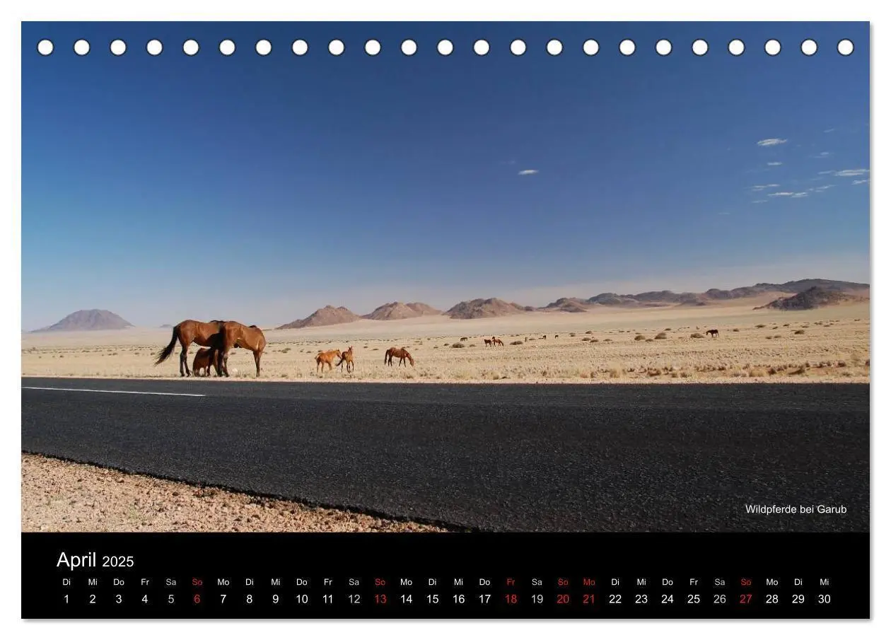 Bild: 9783435786336 | Namibia (Tischkalender 2025 DIN A5 quer), CALVENDO Monatskalender