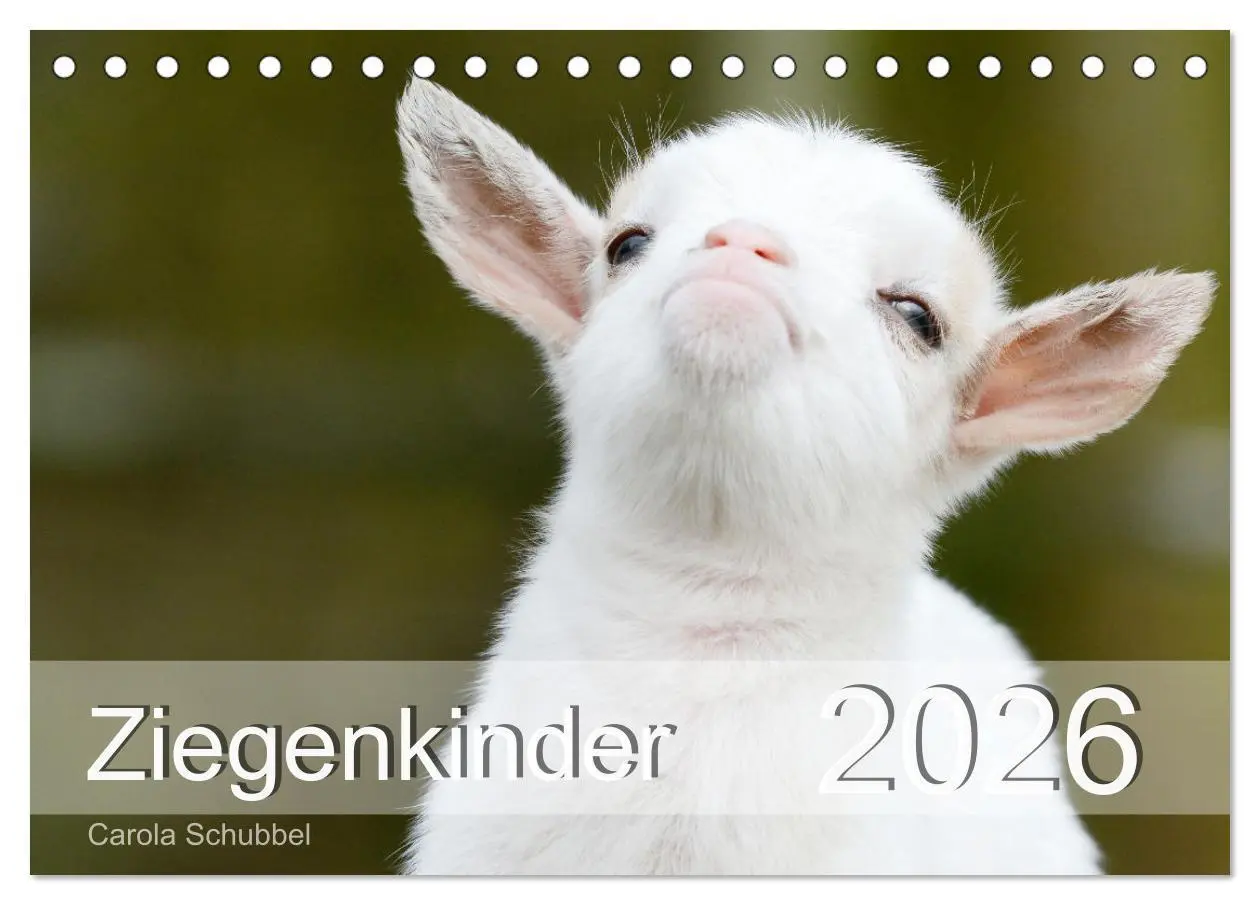Cover: 9783457636336 | Ziegenkinder (Tischkalender 2026 DIN A5 quer), CALVENDO Monatskalender