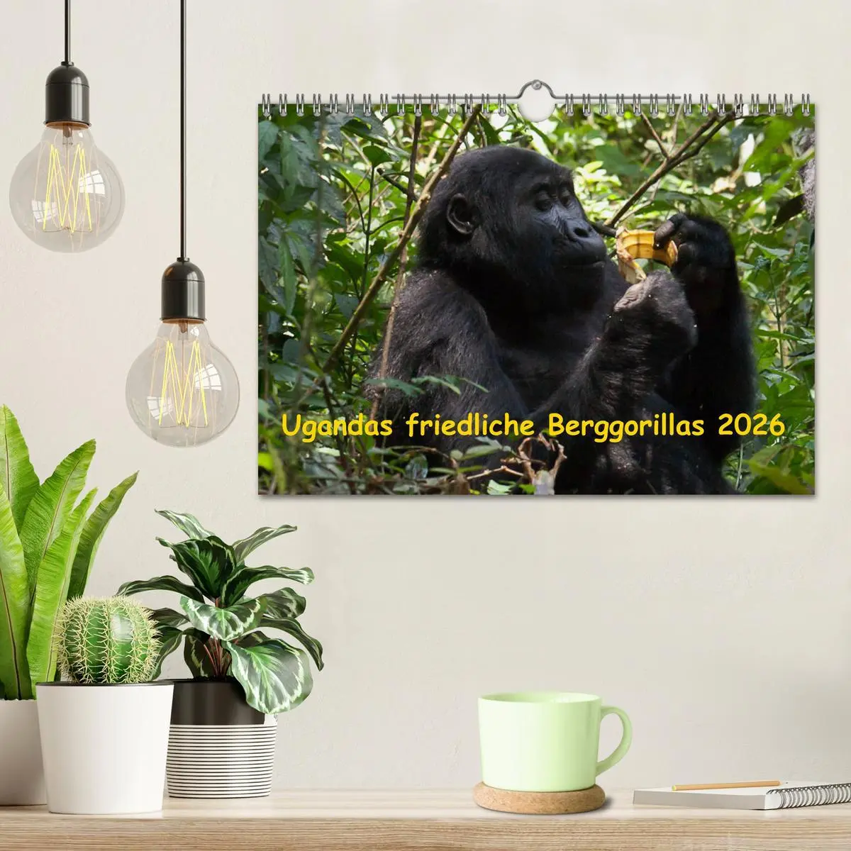 Bild: 9783457876336 | Ugandas friedliche Berggorillas (Wandkalender 2026 DIN A4 quer),...