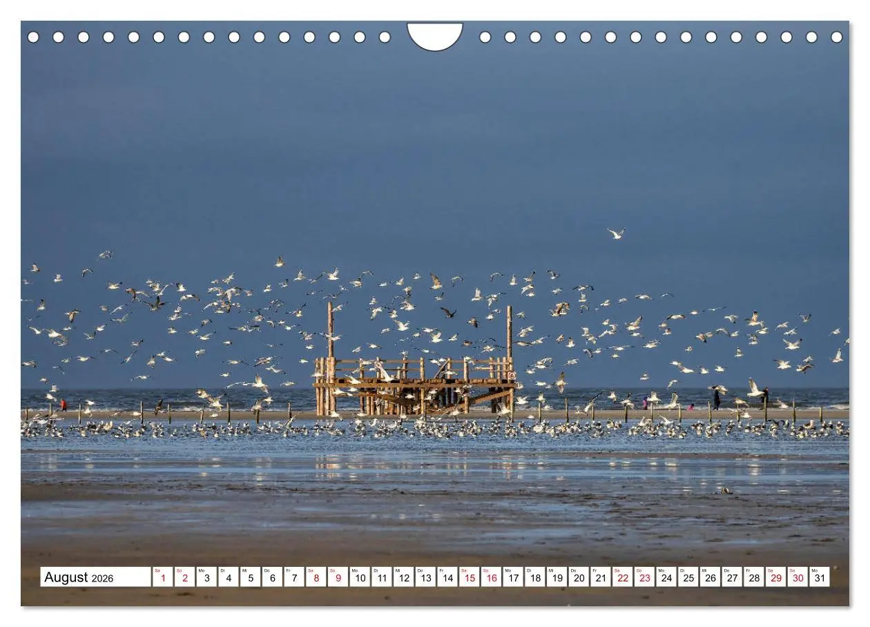 Bild: 9783457866436 | Impressionen aus Sankt Peter-Ording (Wandkalender 2026 DIN A4...