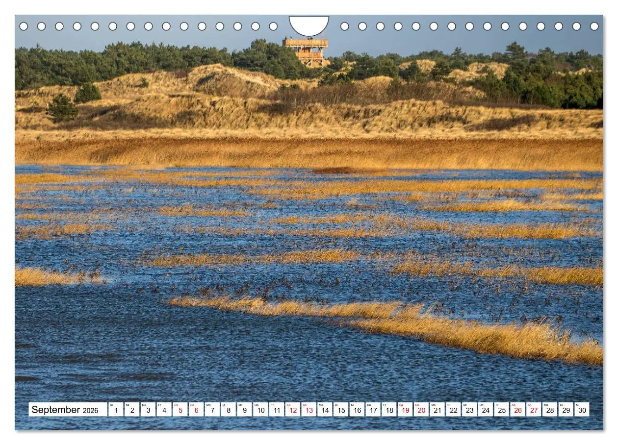 Bild: 9783457866436 | Impressionen aus Sankt Peter-Ording (Wandkalender 2026 DIN A4...