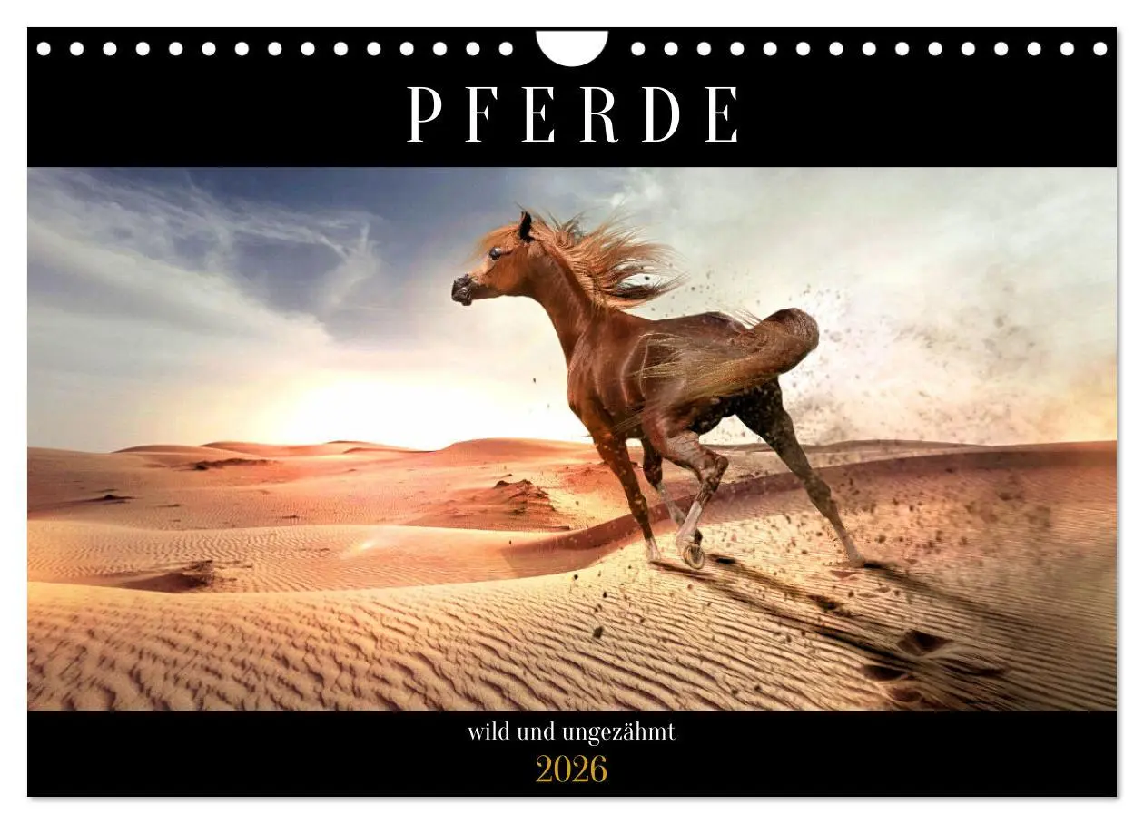 Cover: 9783457546536 | Pferde - wild und ungezähmt (Wandkalender 2026 DIN A4 quer),...