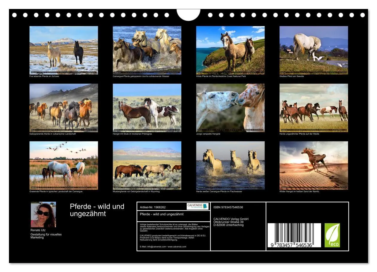 Bild: 9783457546536 | Pferde - wild und ungezähmt (Wandkalender 2026 DIN A4 quer),...