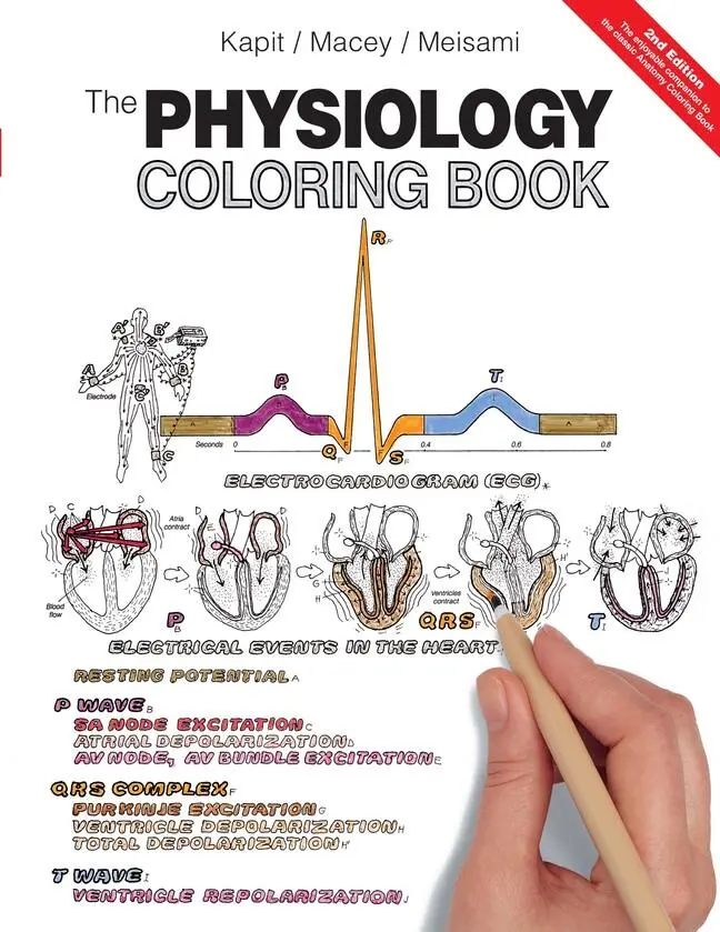 Cover: 9780321036636 | Physiology Coloring Book, The | Wynn Kapit (u. a.) | Taschenbuch