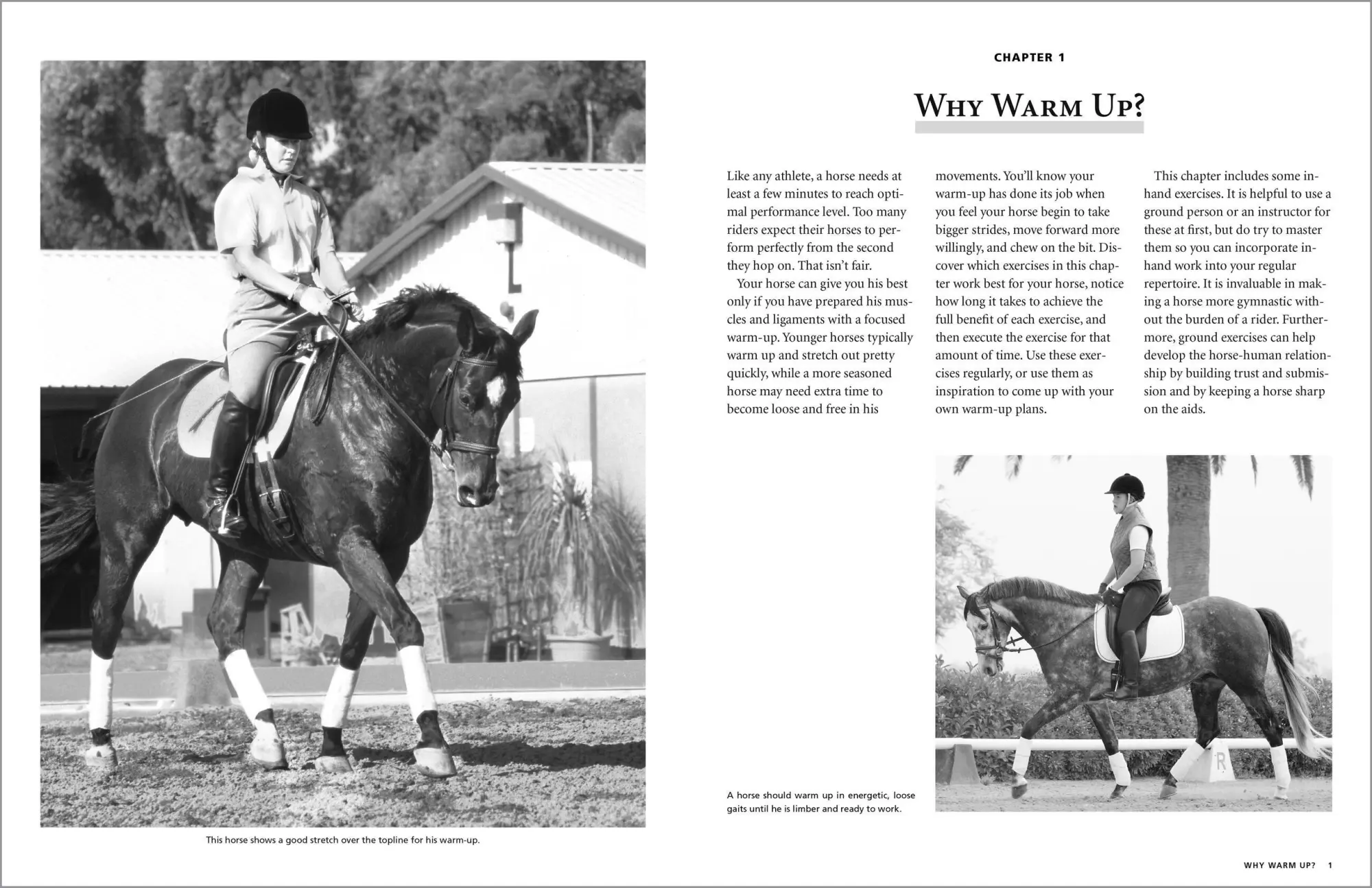 Bild: 9781635866636 | 101 Dressage Exercises for Horse &amp; Rider | Jec Aristotle Ballou | Buch