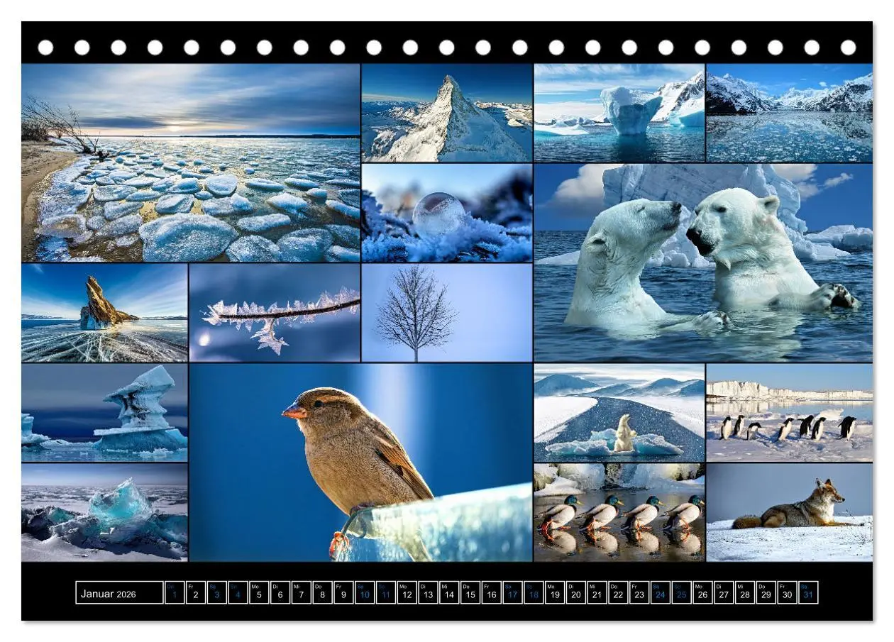 Bild: 9783457606636 | Farbsymphonien der Erde (Tischkalender 2026 DIN A5 quer), CALVENDO...
