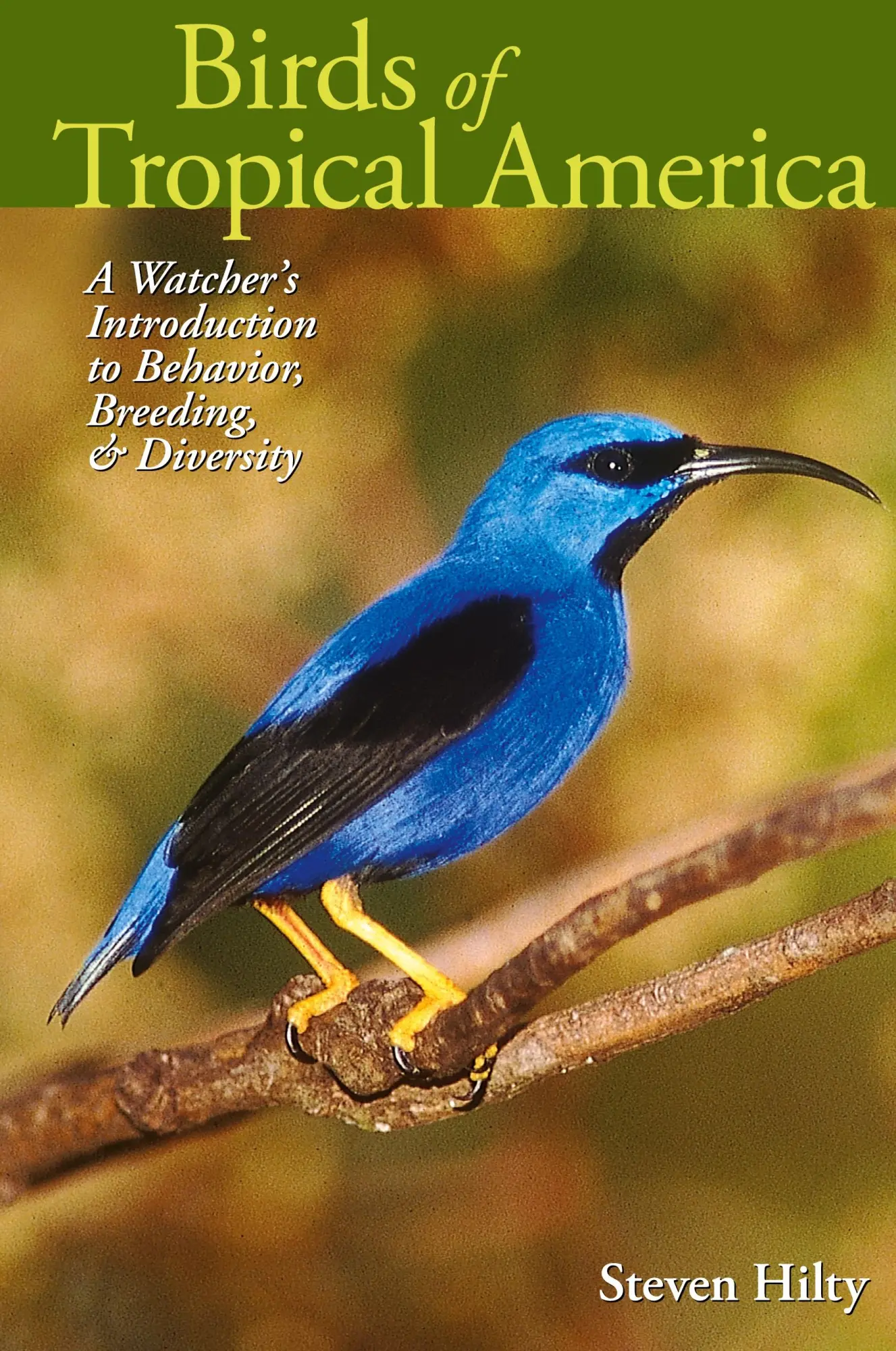 Cover: 9780292706736 | Birds of Tropical America | Steven Hilty | Taschenbuch | Englisch