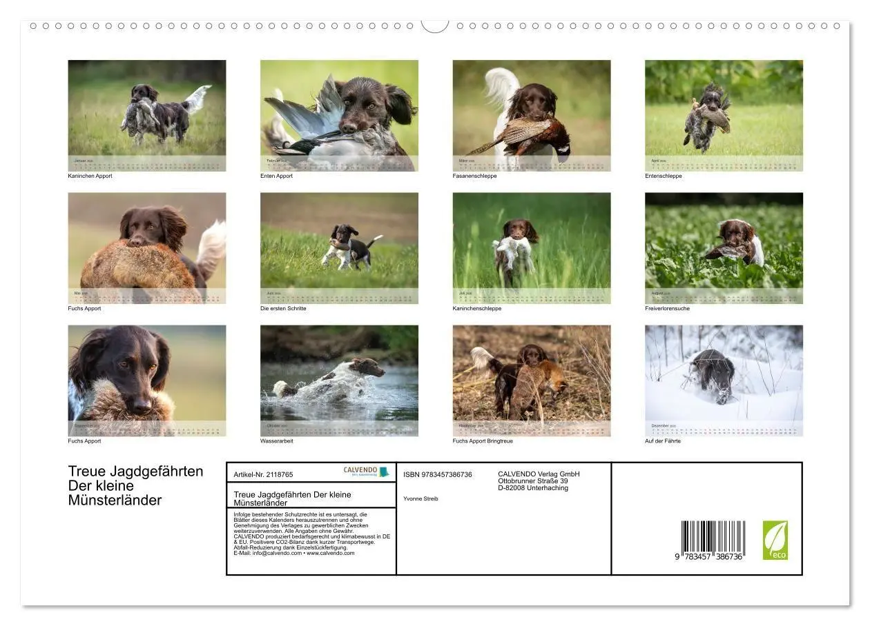 Bild: 9783457386736 | Treue Jagdgefährten Der kleine Münsterländer (hochwertiger Premium...