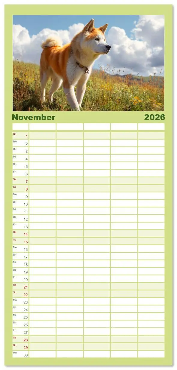 Bild: 9783516616736 | Familienplaner 2026 - Akita Inu in der Natur. Japans edle und...