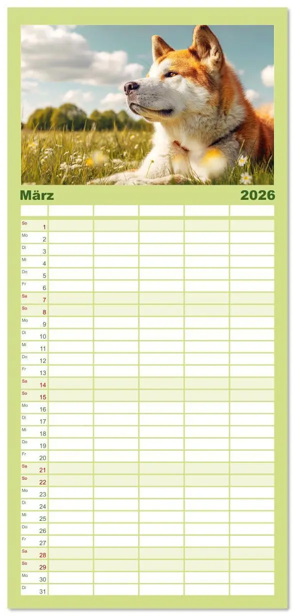 Bild: 9783516616736 | Familienplaner 2026 - Akita Inu in der Natur. Japans edle und...