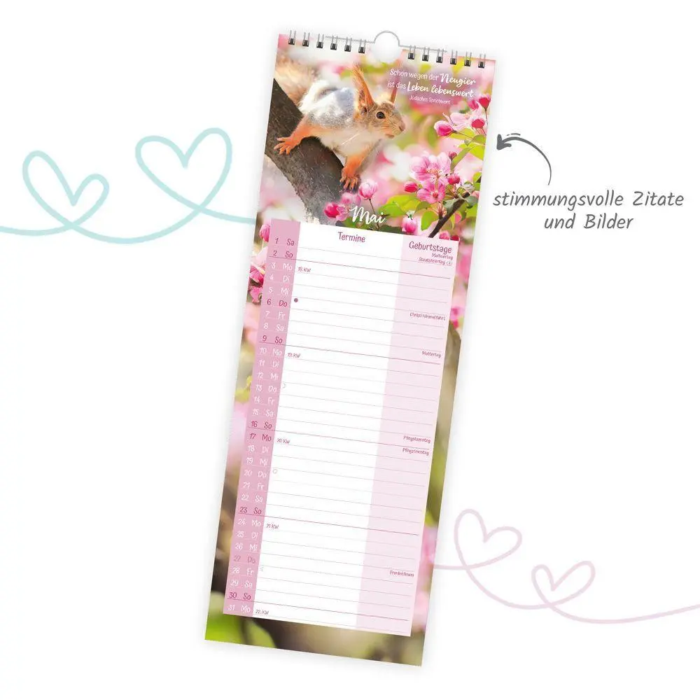 Bild: 9783988026736 | TRÖTSCH - Maxi-Streifenkalender Zeit für mich 2027 | Wandkalender | KG