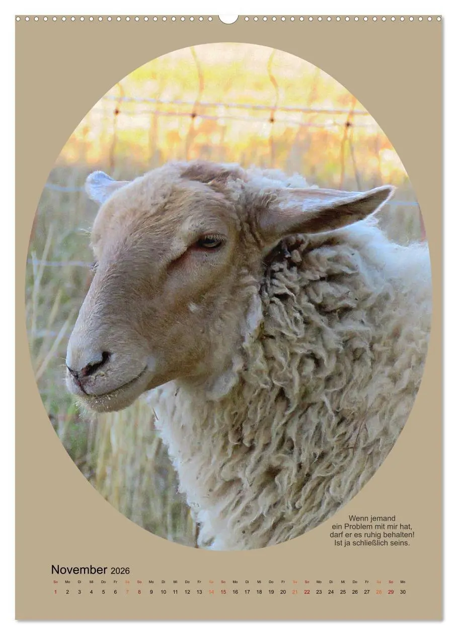 Bild: 9783516396836 | Scharfe Portraits (hochwertiger Premium Wandkalender 2026 DIN A2...