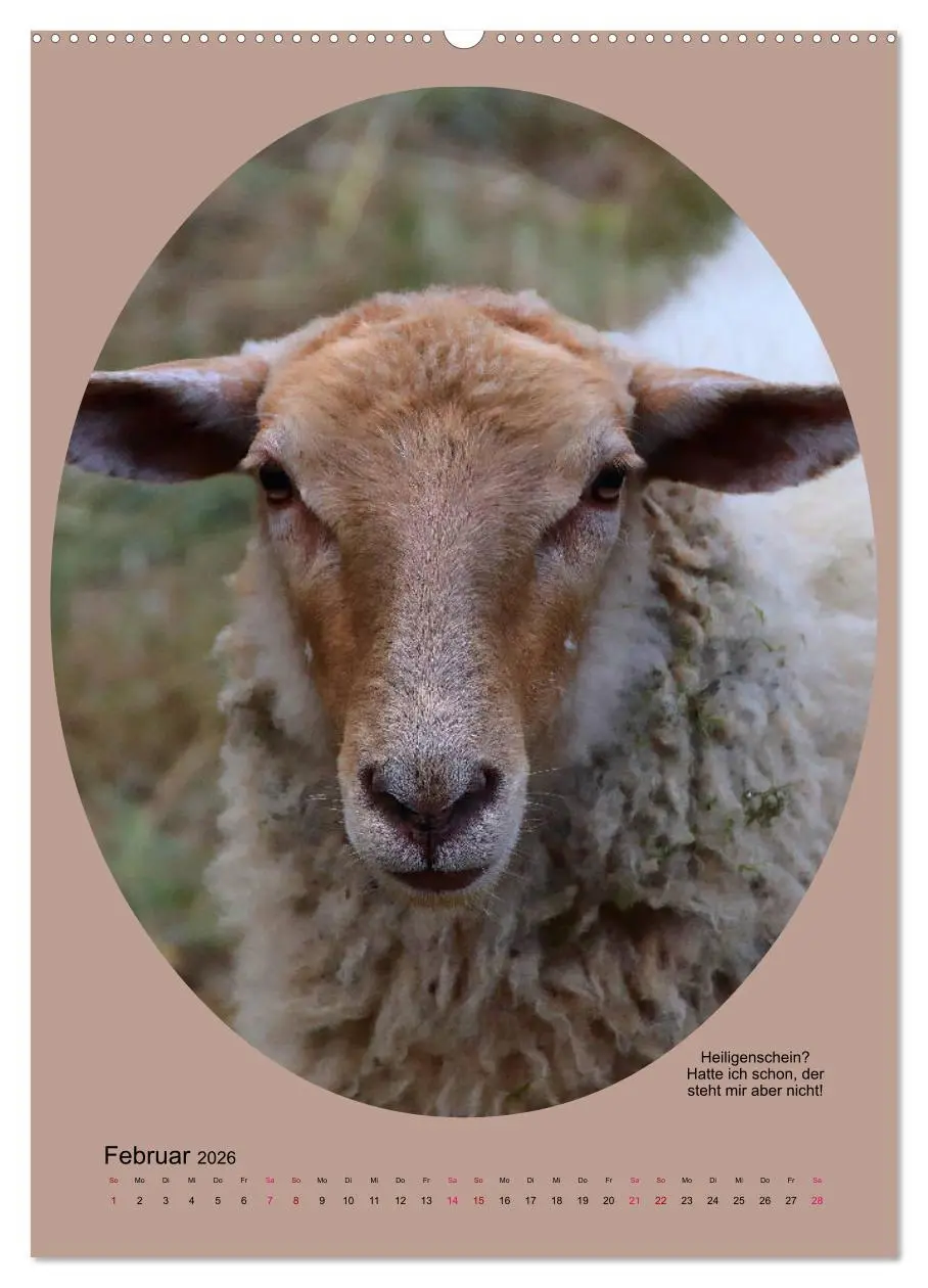 Bild: 9783516396836 | Scharfe Portraits (hochwertiger Premium Wandkalender 2026 DIN A2...