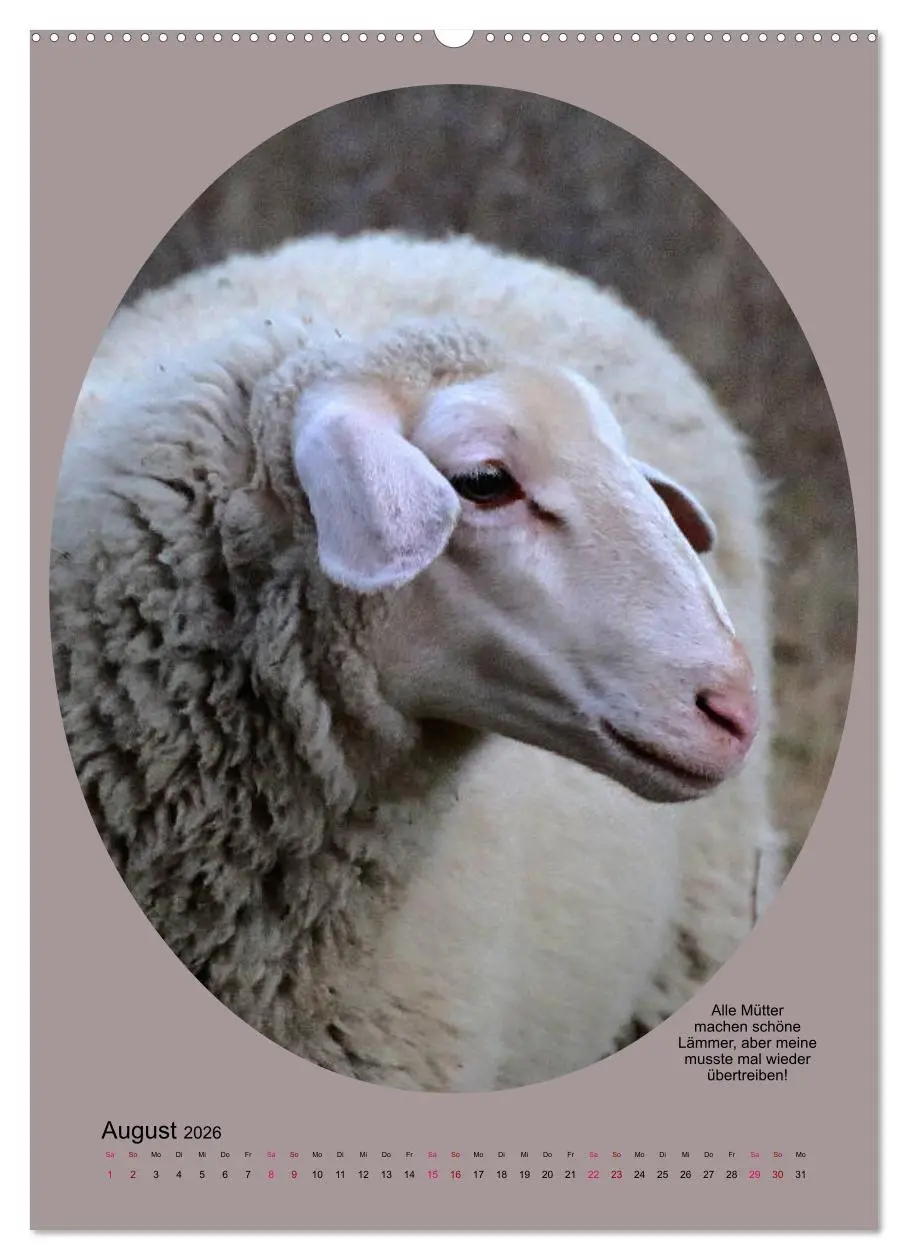 Bild: 9783516396836 | Scharfe Portraits (hochwertiger Premium Wandkalender 2026 DIN A2...