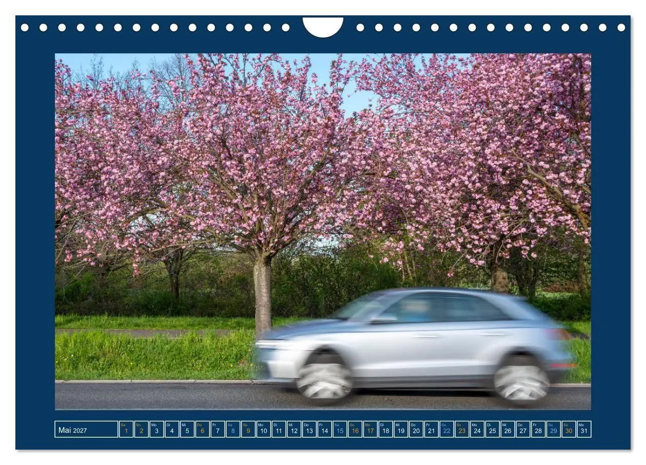 Bild: 9783569486836 | Magdeburg (Wandkalender 2027 DIN A4 quer), CALVENDO Monatskalender