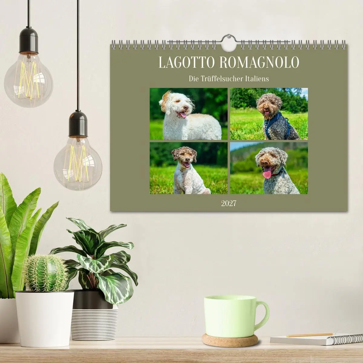 Bild: 9783594376836 | Lagotto Romagnolo - die Trüffelsucher Italiens (Wandkalender 2027...
