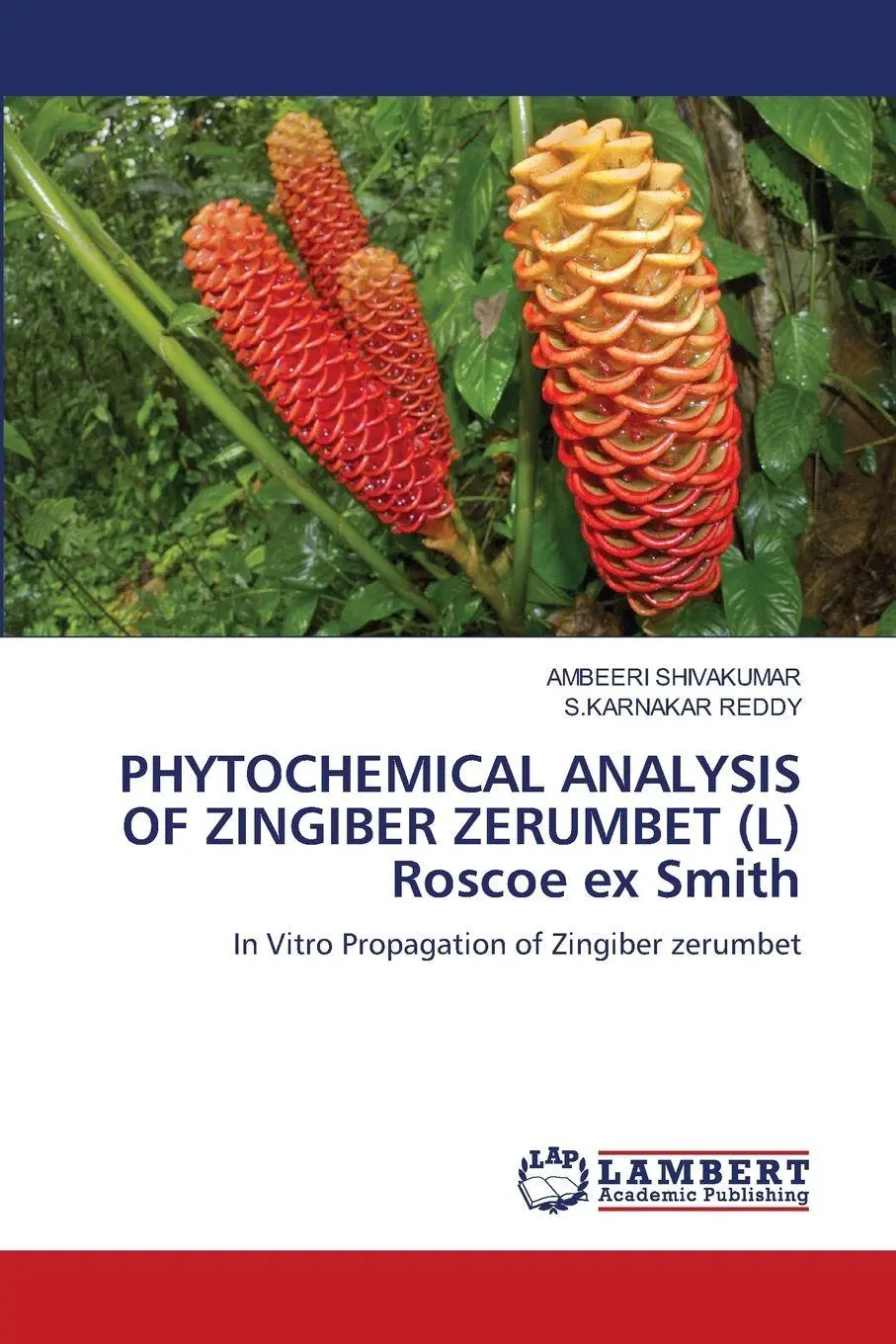 Cover: 9786208416836 | PHYTOCHEMICAL ANALYSIS OF ZINGIBER ZERUMBET (L) Roscoe ex Smith | Buch
