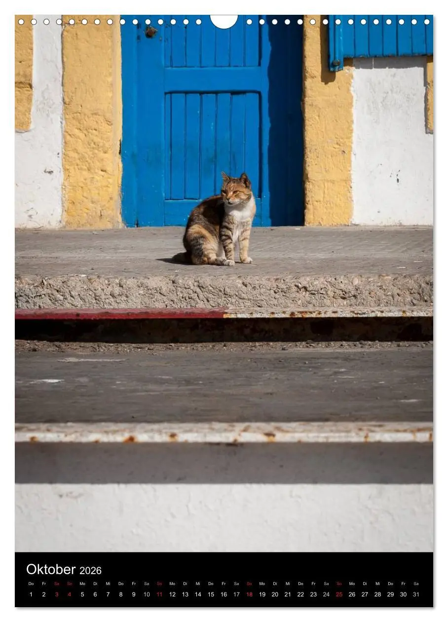 Bild: 9783516456936 | Katzen in Marokko (Wandkalender 2026 DIN A3 hoch), CALVENDO...